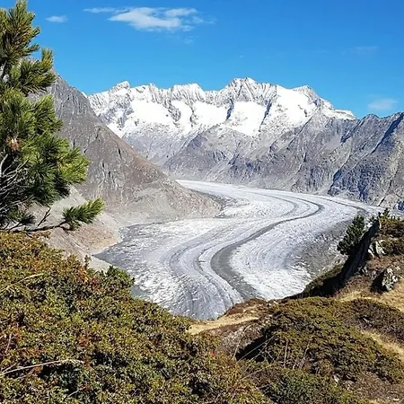 Apartamento Hockmatte *