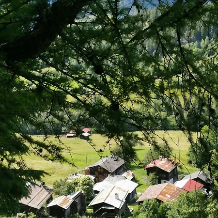 Romantisches Walliser Chalet mit Bergpanorama Apartment Grengiols