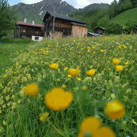 Romantisches Walliser Chalet mit Bergpanorama Apartment