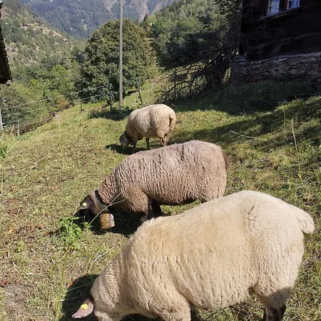 Romantisches Walliser Chalet mit Bergpanorama * Grengiols