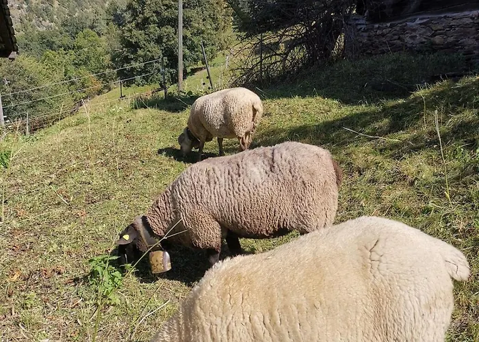 Hockmatte * Grengiols