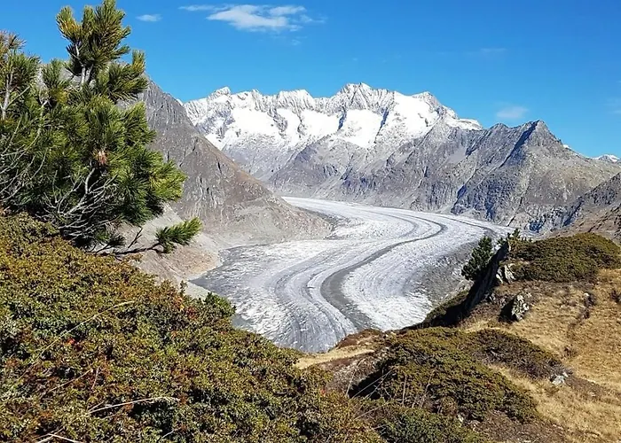 Апартаменты Hockmatte *