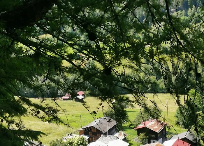 Hockmatte Apartmán Grengiols